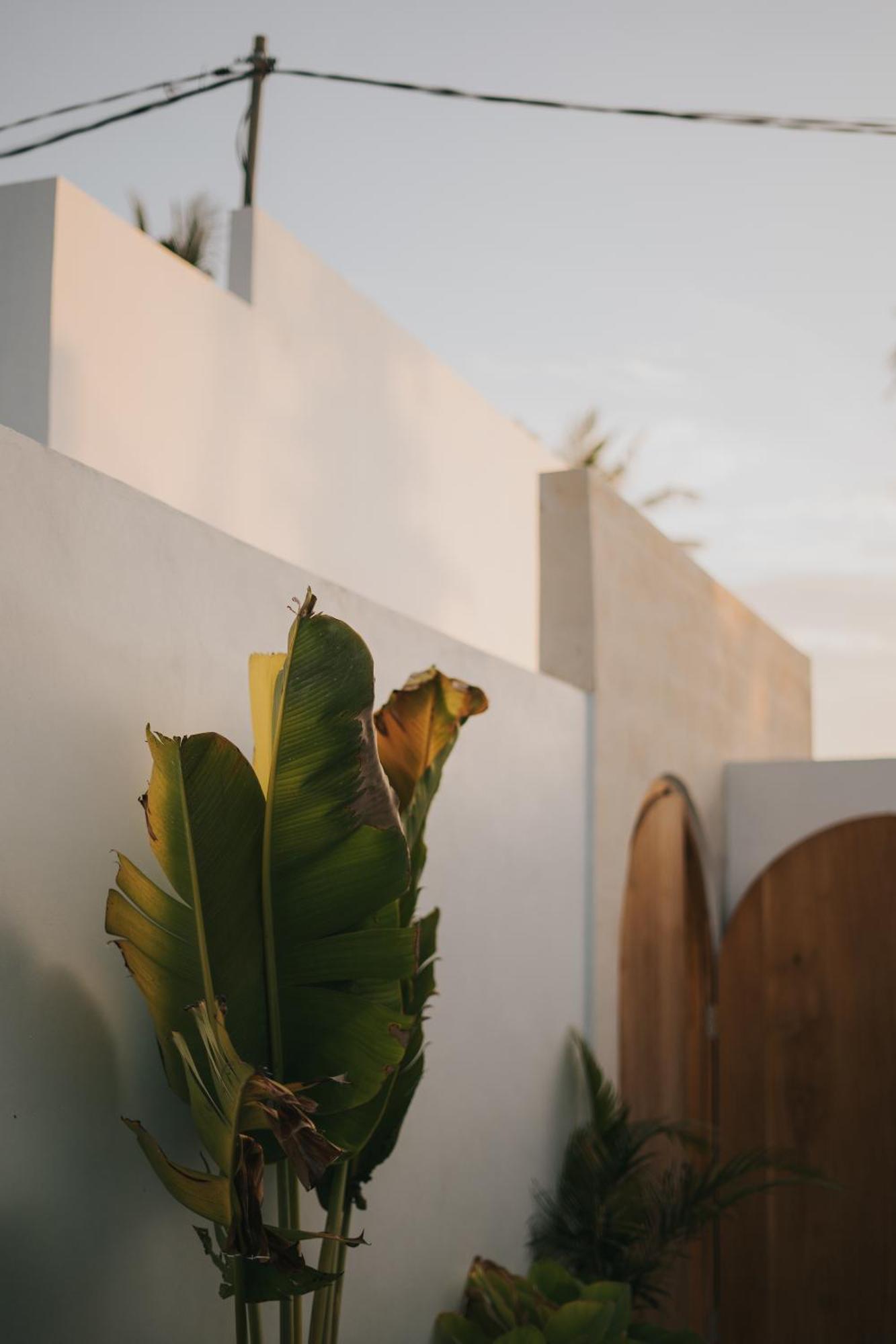 Brandon Villa Lovina With Private Pool المظهر الخارجي الصورة