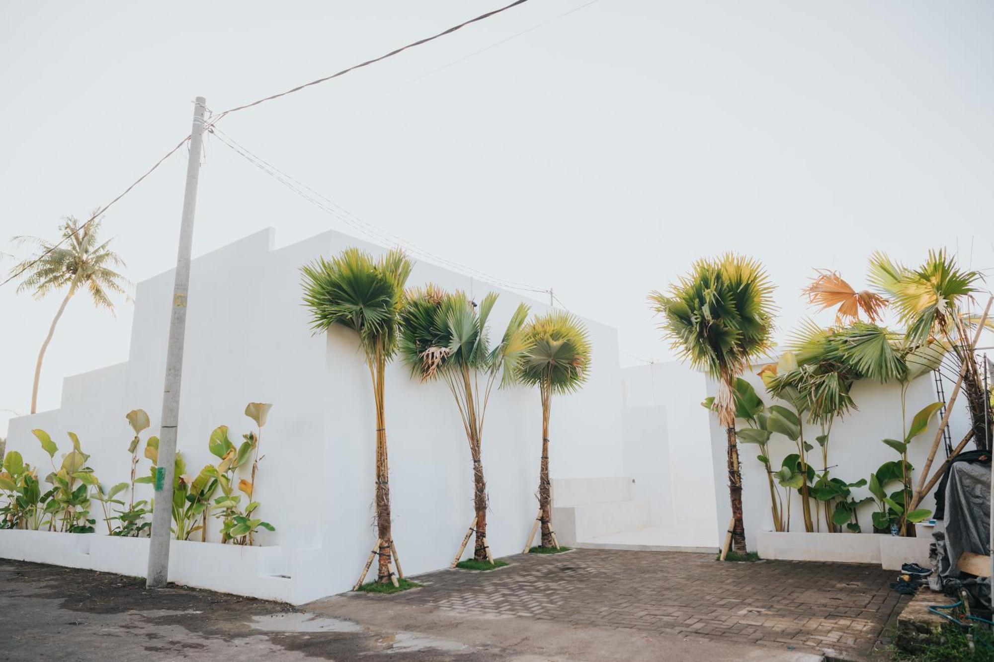 Brandon Villa Lovina With Private Pool المظهر الخارجي الصورة